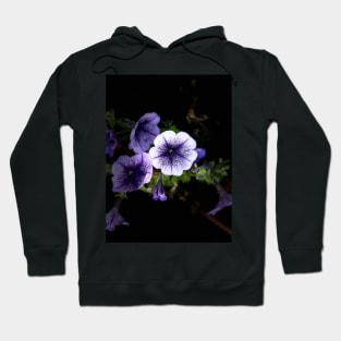 Purple Petunia Hoodie